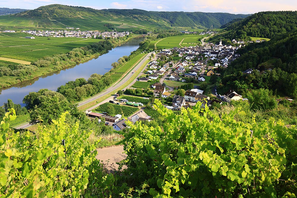 Wijnranken Rallye ADAC Mittelrhein 2025