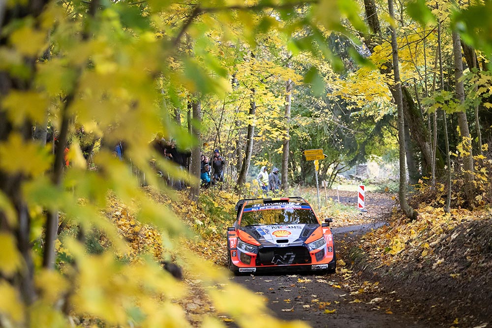 Thierry Neuville viel uit in de WRC Central European Rally 2025 na een crash tegen een brug in de openingsproef van zondag - Hyundai i20 N Rally1